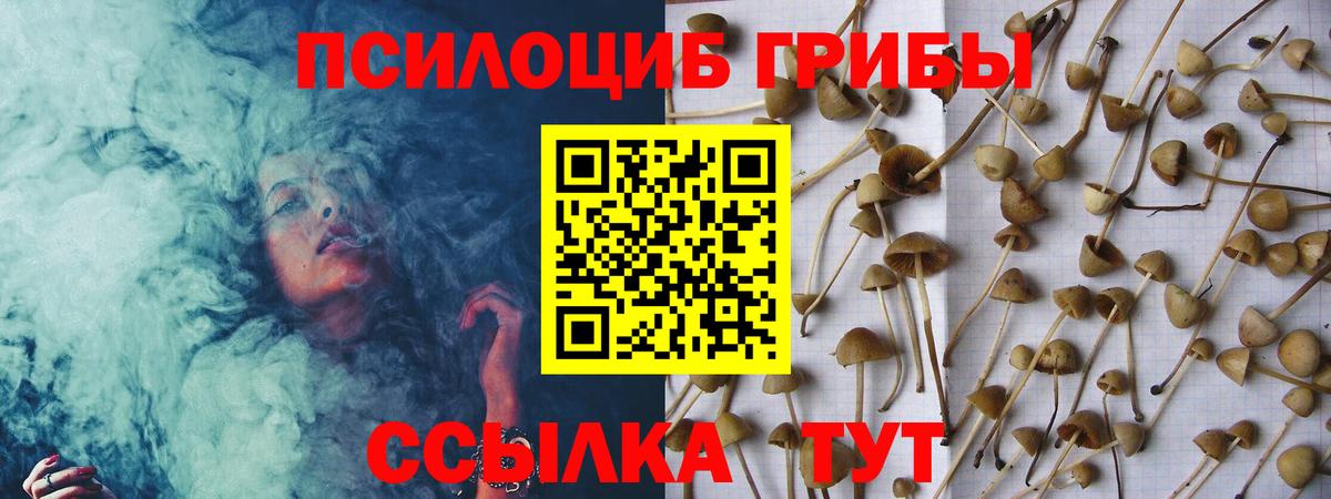 Грозный  Галлюциногенные грибы мицелий  Вход с VPN 